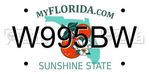 W995BW Florida License Plate