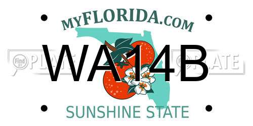 WA14B Florida License Plate