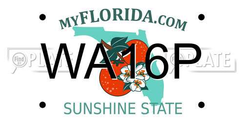 WA16P Florida License Plate