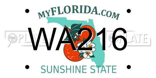 WA216 Florida License Plate