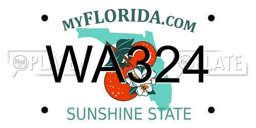 WA324 Florida License Plate