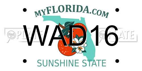 WAD16 Florida License Plate
