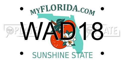 WAD18 Florida License Plate
