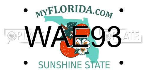 WAE93 Florida License Plate