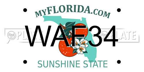 WAF34 Florida License Plate