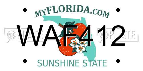 WAF412 Florida License Plate