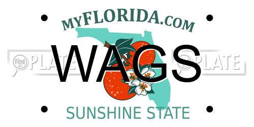 WAGS Florida License Plate