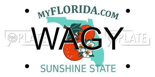 WAGY Florida License Plate