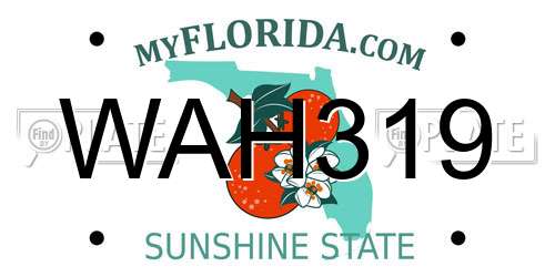 WAH319 Florida License Plate