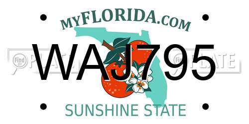 WAJ795 Florida License Plate