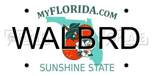 WALBRD Florida License Plate