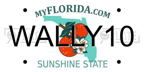 WALLY10 Florida License Plate