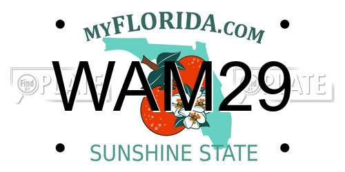 WAM29 Florida License Plate