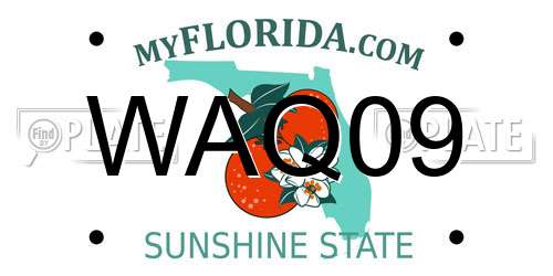 WAQ09 Florida License Plate