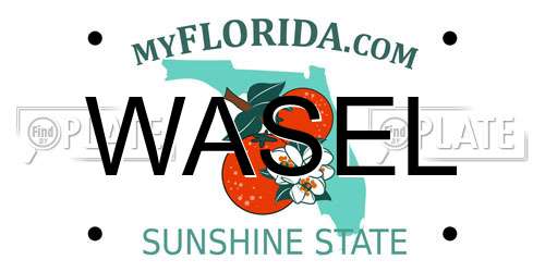 WASEL Florida License Plate