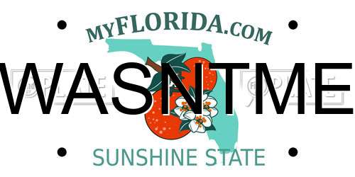 WASNTME Florida License Plate
