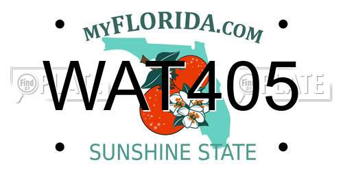 WAT405 Florida License Plate
