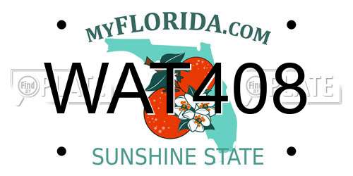 WAT408 Florida License Plate
