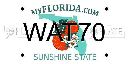 WAT70 Florida License Plate
