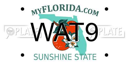 WAT9 Florida License Plate