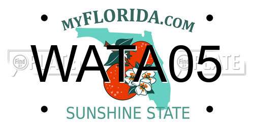 WATA05 Florida License Plate