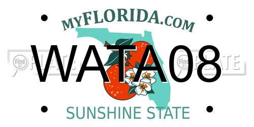 WATA08 Florida License Plate