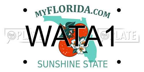WATA1 Florida License Plate