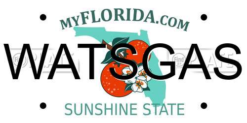 WATSGAS Florida License Plate