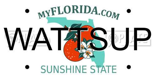 WATTSUP Florida License Plate