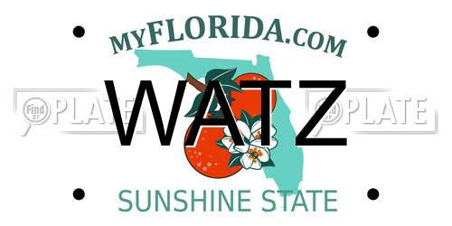WATZ Florida License Plate