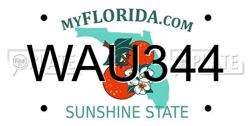 WAU344 Florida License Plate