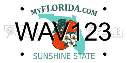 WAV123 Florida License Plate