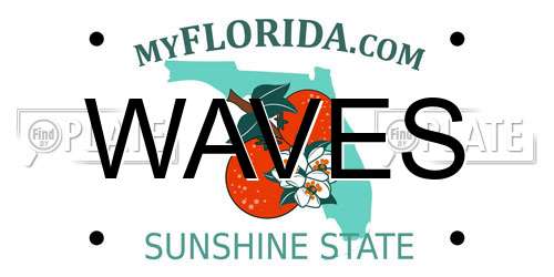 WAVES Florida License Plate