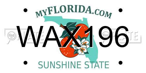 WAX196 Florida License Plate