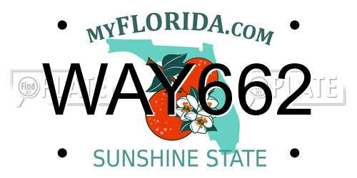 WAY662 Florida License Plate