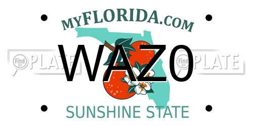 WAZ0 Florida License Plate
