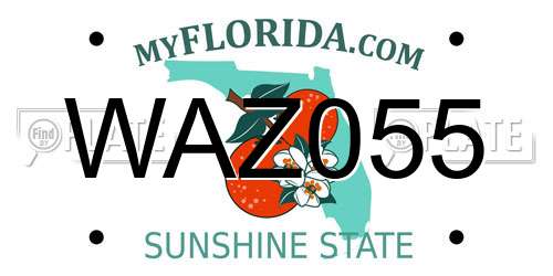 WAZ055 Florida License Plate