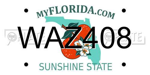 WAZ408 Florida License Plate