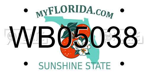 WB05038 Florida License Plate