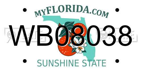 WB08038 Florida License Plate