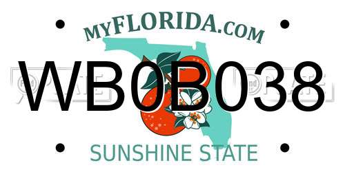 WB0B038 Florida License Plate