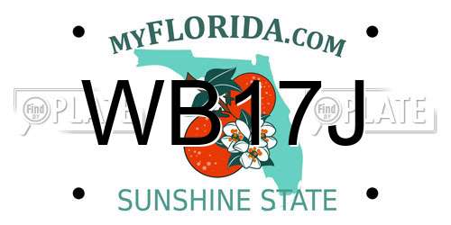 WB17J Florida License Plate
