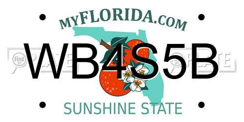WB4S5B Florida License Plate