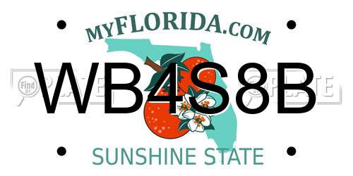 WB4S8B Florida License Plate
