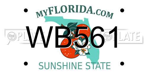 WB561 Florida License Plate