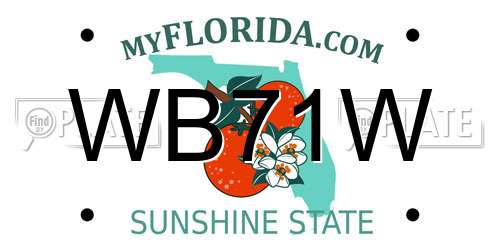 WB71W Florida License Plate