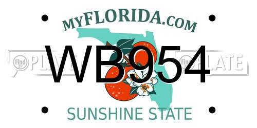 WB954 Florida License Plate