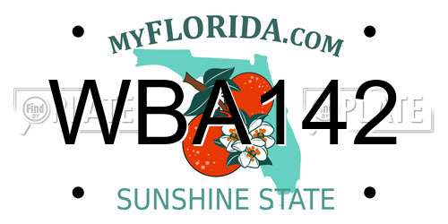 WBA142 Florida License Plate