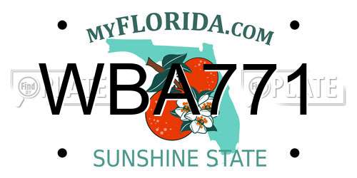 WBA771 Florida License Plate