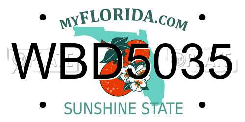 WBD5035 Florida License Plate